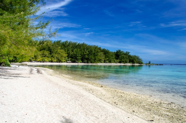 Playa tropical Polinesia Francesa