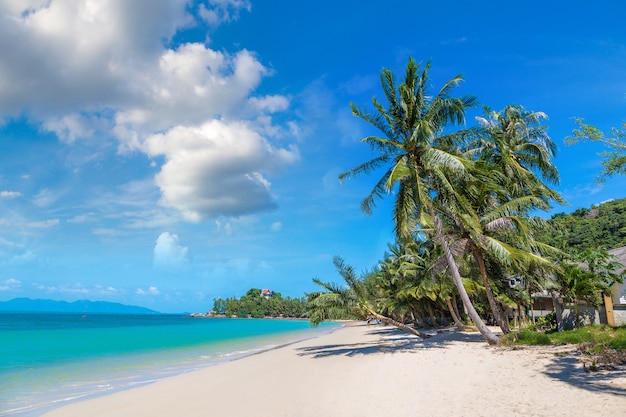 Playa tropical en Samui