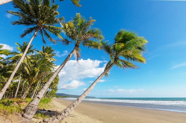 Playa tropical serenidad