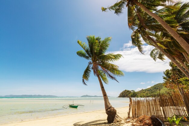 Playa tropical serenidad