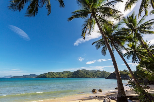 Playa tropical serenidad