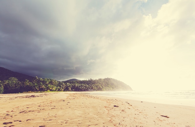 Playa tropical serenidad