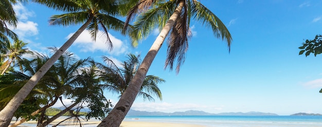 Playa tropical serenidad