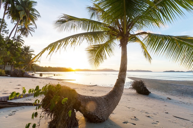 Playa tropical serenidad