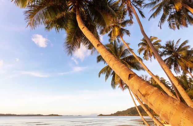 Playa tropical serenidad