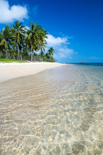 Playa tropical en Sri Lanka. Concepto de vacaciones y vacaciones de verano para el turismo.