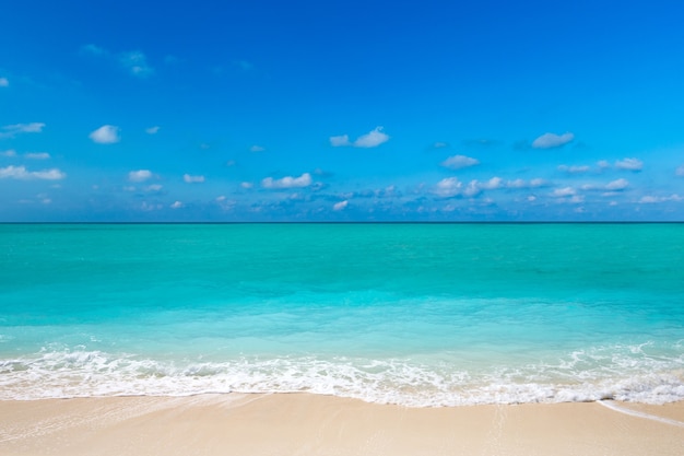 Playa tropical en Sri Lanka. Concepto de vacaciones y vacaciones de verano para el turismo.