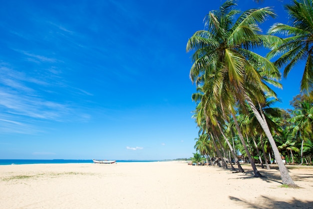 Playa tropical en Sri Lanka. Vacaciones de verano y concepto de vacaciones para el turismo.