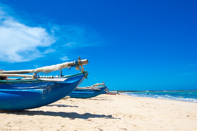 Playa tropical en Sri Lanka