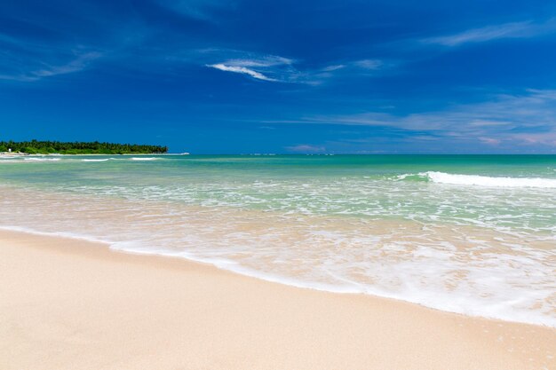 playa tropical en Sri Lanka