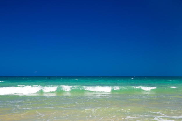 playa tropical en Sri Lanka