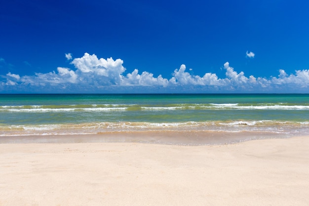 playa tropical en Sri Lanka