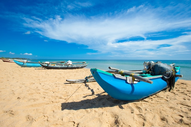 Playa tropical en Sri Lanka