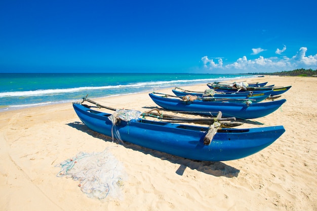 Playa tropical en Sri Lanka