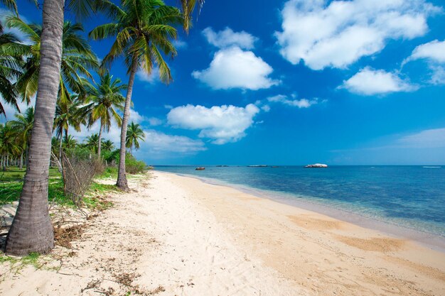 Playa tropical virgen en Sri Lanka