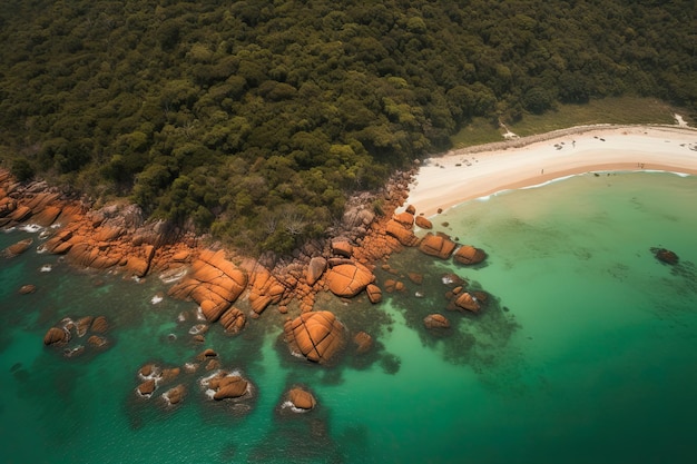 Playa tropical vista desde arriba Hermoso mar azul con frondosos árboles verdes IA generativa