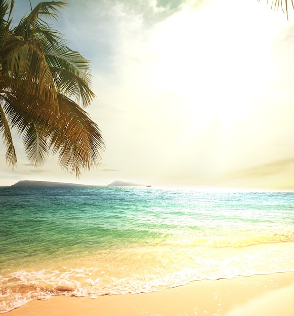 La playa tropical