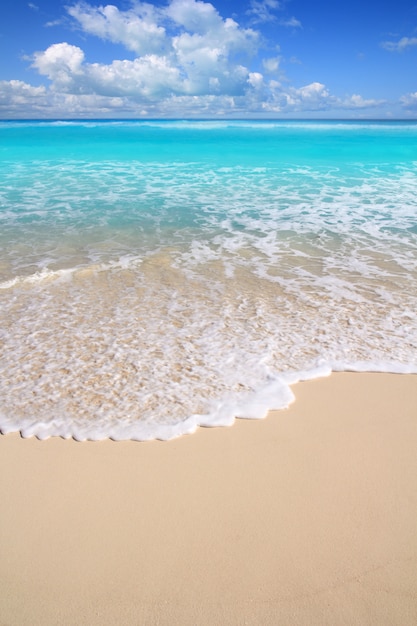 Playa turquesa del caribe día perfecto mar soleado