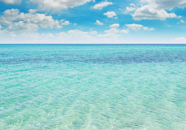 Foto playa turquesa en stintino cerdeña