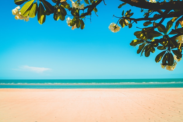 playa vacía mar