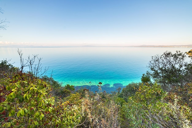 Foto playa vacía en la reserva natural de maremma toscana italia bahía de arena en el parque natural costa espectacular promontorio rocoso y bosque de pinos mar mediterráneo azul agitando el agua