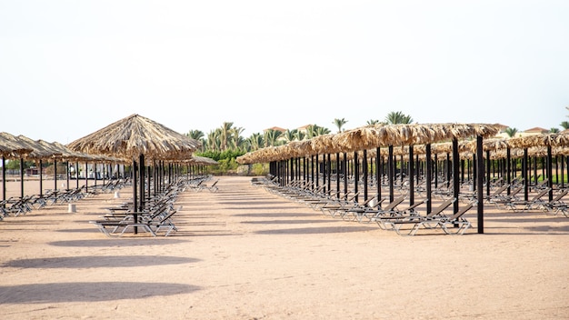 Playa vacía con tumbonas y sombrillas. Crisis turística durante la cuarentena.