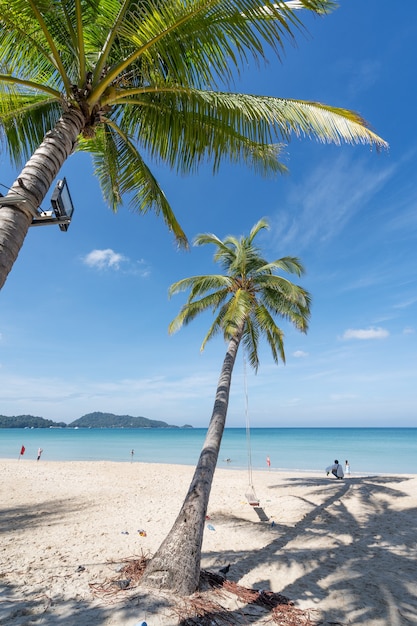 Playa de verano con palmeras alrededor en la isla de Phuket de la playa de Patong, Tailandia, hermosa playa tropical con fondo de cielo azul en la temporada de verano.