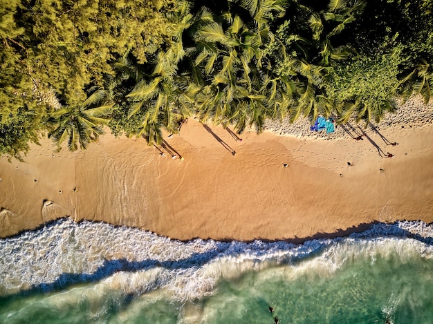 Playa en la vista superior aérea de Seychelles