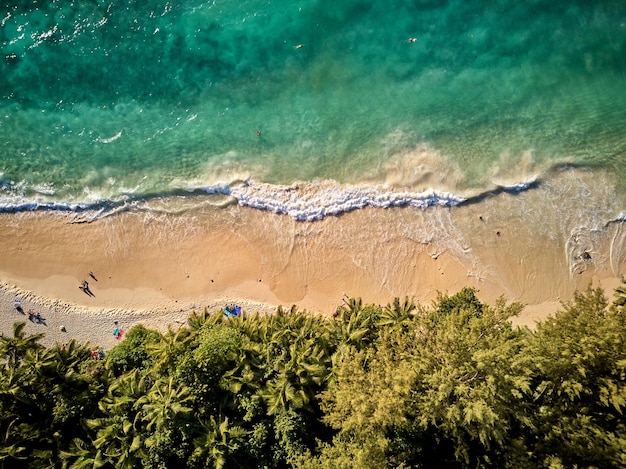 Playa en la vista superior aérea de Seychelles