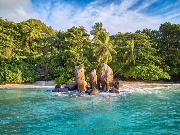 Playa en la vista superior aérea de Seychelles