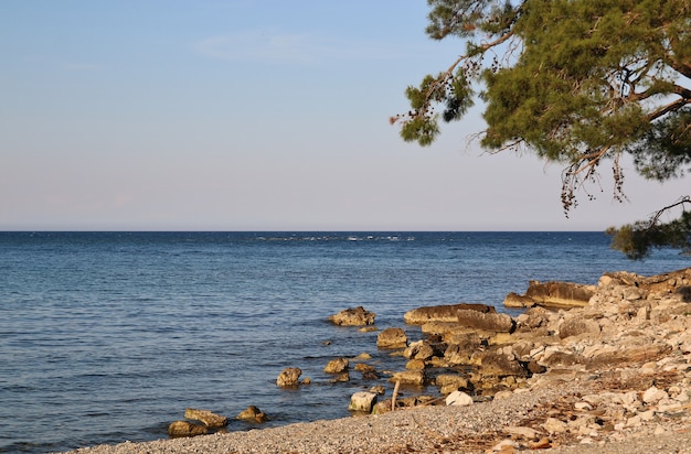 Playa con vistas al mar.