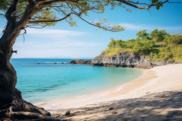 una playa con vistas