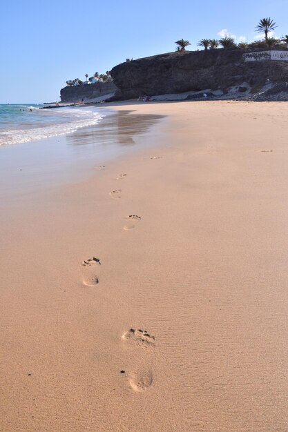 La playa volcánica tropical