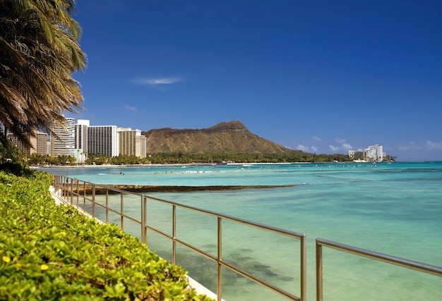 Playa de Waikiki Oahu Hawai