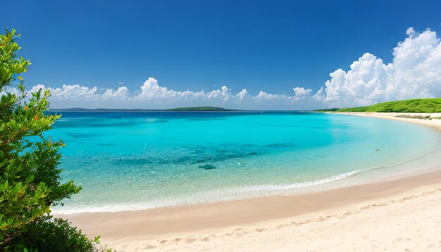 playas y arrecifes en verano