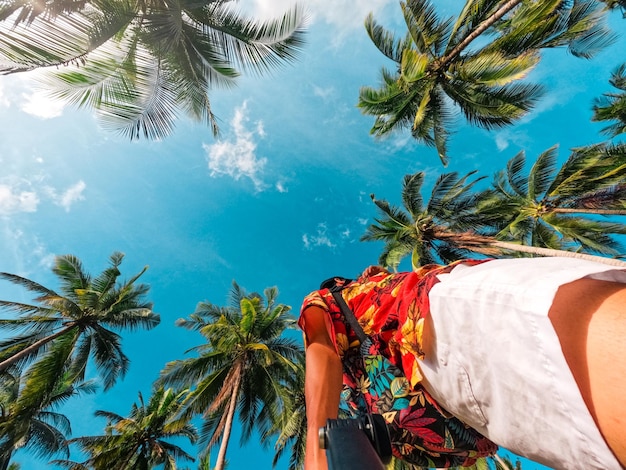 Playas y cocoteros en una isla tropical