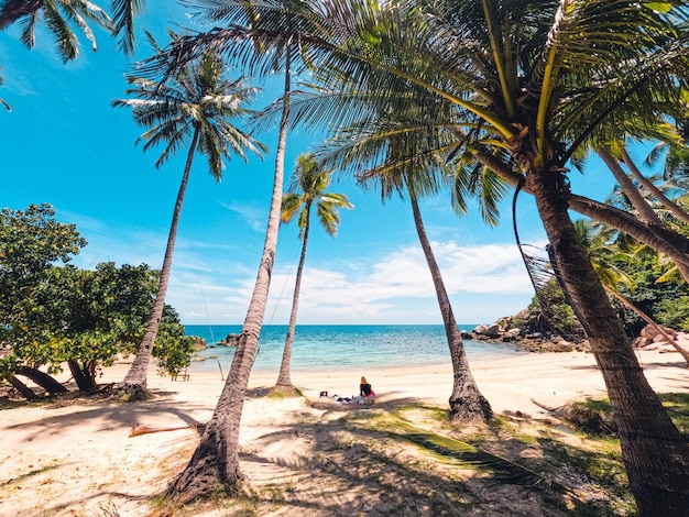 Playas y cocoteros en una isla tropical