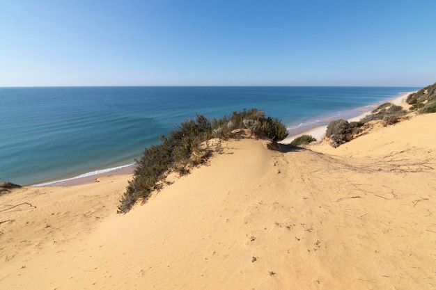 Una de las playas más bonitas de España, llamada (El Asperillo, Doñana, Huelva) en España.