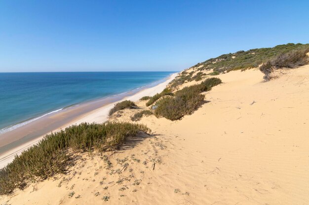 Una de las playas más bonitas de España, llamada (El Asperillo, Doñana, Huelva) en España.