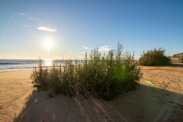 Una de las playas más bonitas de España, llamada (Cuesta Maneli, Huelva) en España.