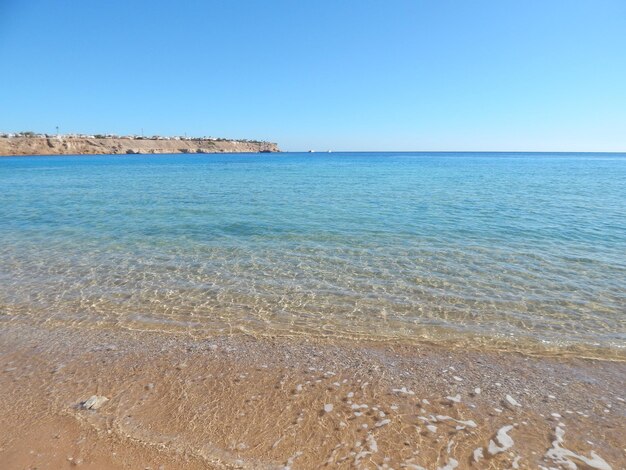 Las playas naturales del complejo turístico en Egipto Sharm El Sheikh