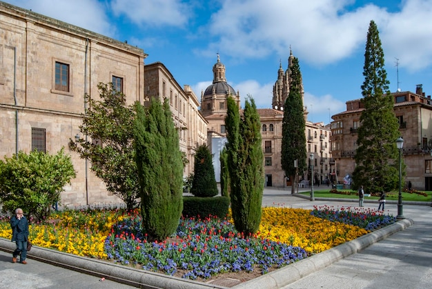 Plaza de Anaya en Salamanca