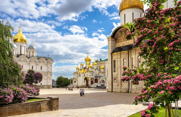 Plaza de la Catedral dentro de Moscú Kremlin Rusia