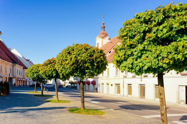 Plaza principal de la libertad con árboles verdes en el centro antiguo de Slovenska Bistrica cerca de Maribor en Eslovenia. Ciudad en el sur de Estiria en Slovenija. Campanario de la Catedral de la ciudad eslovena.