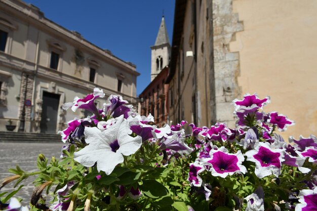 Foto una plaza de sulmona, un pueblo italiano en la región de abruzzo, italia