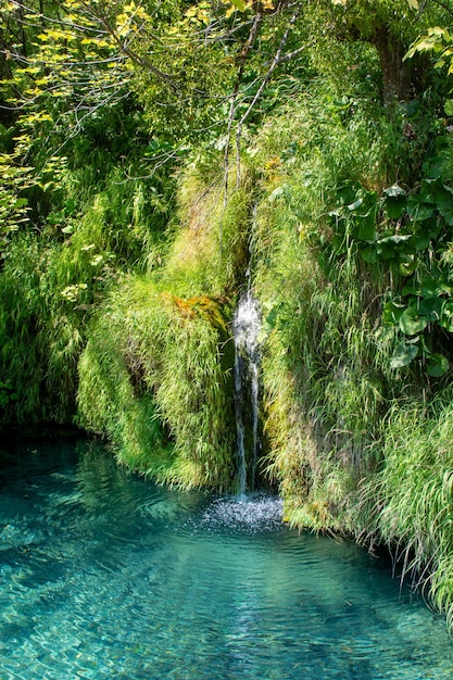 Plitvicer Seen in Kroatien schöne Sommerlandschaft mit Wasserfällen