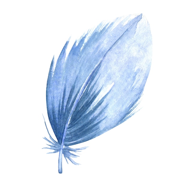 Foto pluma azul aquarela