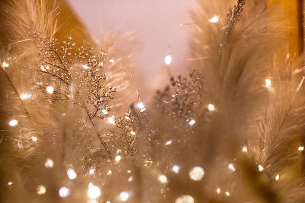 Pluma blanca con luces navideñas Textura de fondo de enfoque suave Espacio de copia Foto de alta calidad