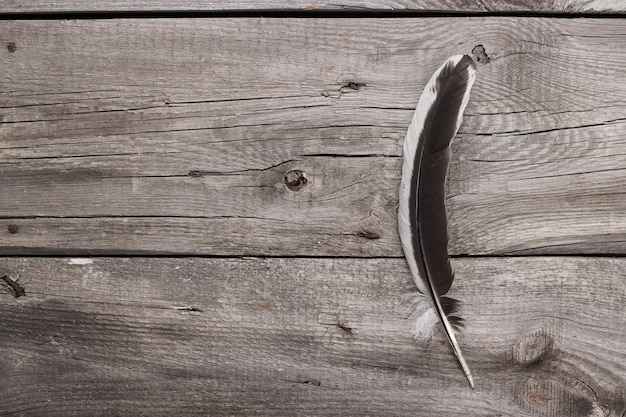 Pluma blanca y negra sobre fondo de mesa de madera