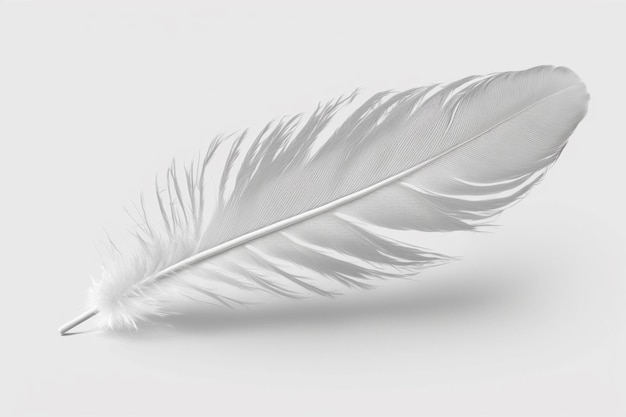 Una pluma blanca sobre un fondo blanco.